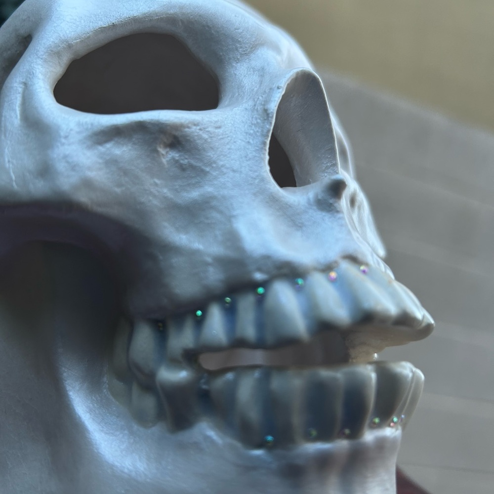 Decorative Handmade Ceramic Pearl White Skull with Crystal Accents